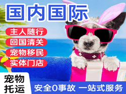 天水麦积山航空快递国际宠物托运 【国